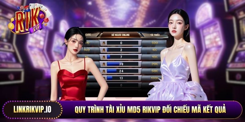 Quy trình tài xỉu MD5 Rikvip đối chiếu mã kết quả trên các công cụ băm dữ liệu  