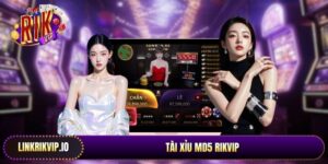 Tài xỉu MD5 Rikvip