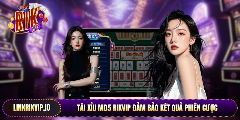 Tài xỉu MD5 Rikvip đảm bảo kết quả phiên cược được thiết lập ngẫu nhiên 